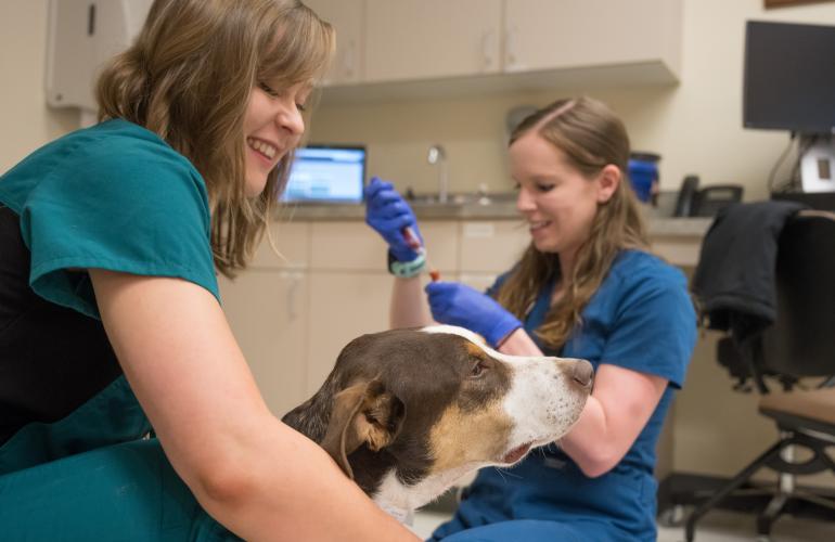 Samantha Thomas 2018